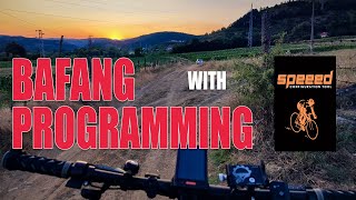 How to Program Bafang 750W / 1000W Motor with Phone — Speeed App (Android) Tutorial screenshot 5