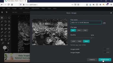Levels & Curves in Pixlr E