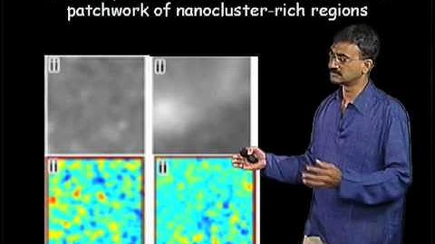 Satyajit Mayor (NCBS) Part 3: Making Rafts in Living Cell Membranes