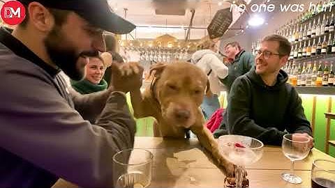 TOTAL IDIOTS AT WORK | Instant Regret Fails Compilation 2025 #463| Best Of The Week