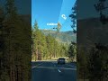 The journey is the destination. 🌲🚗🇺🇸 #california #roadtrip #travelusa #explorecalifornia