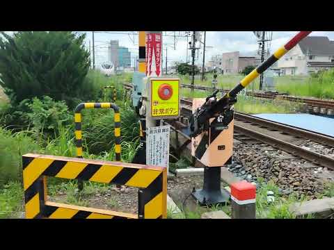 常磐線　特急ひたち14号　品川行