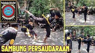 PSHW TM (LUMAJANG) FULL VIDEO || SAMBUNG PERSAUDARAAN PSHW TM. part 2