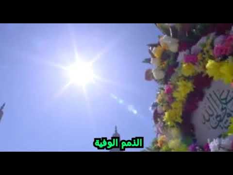 المناجاة المنظومة بصوت محمد الحجيرات