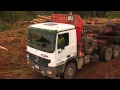 Prevención - Trabajo seguro - Tránsito - Forestal Arauco