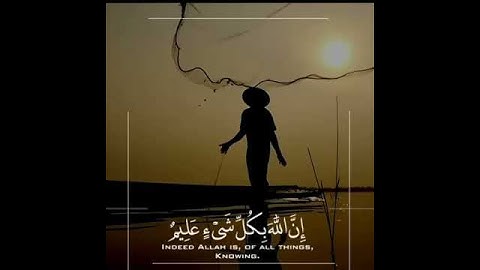 خشوع هدوء تلاوة القارئ عبدالرحمن مسعد