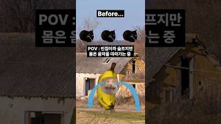 😿빈집의 슬픈 고양이 | oiia oiia cat | 농촌소멸대응 빈집재생사업