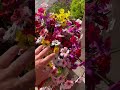 Artificial Plants Look and Feel Real Multiple Colors #artificialplants #fauxplants #amazonfinds