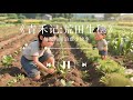 每晚睡前治愈小故事|青禾记:荒田生穗|小女孩与六岁弟弟的田园生活|坚强与守护的睡前故事|Bedtime Story for Relaxing Sleep
