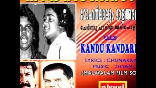 NEEYARINJO MALAYALAM FILM SONG