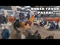 BURSA KUŞ PAZARI TAVUK BÖLÜMÜ HAVA BUZ AMA HAYVANSEVER YİNE Bİ ARADA TAVUK ÖRDEK KAZ