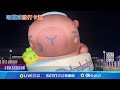 台南安平水豚事件