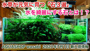 盲點mp3