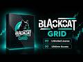 BlackCat Grid EA Review | Professional Multi-Pair Grid Trading Robot