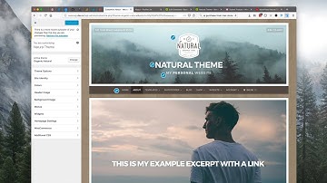 WordPress Natural Theme Walk-through