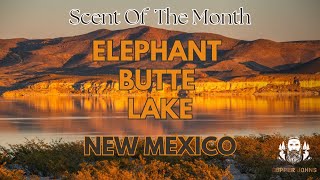 Scent of the Month Release - Elephant Butte Lake, New Mexico