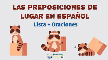 ¿Cuál es la función principal de las preposiciones de lugar?