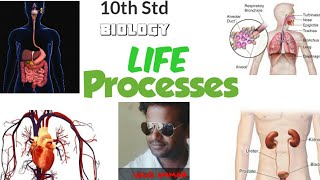 life processes in kannada part 1 #10th biology in kannada