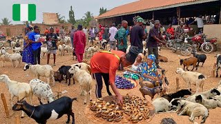 Marché rural africain à Fobur, Nigeria 🇳🇬 Afrique de l'Ouest