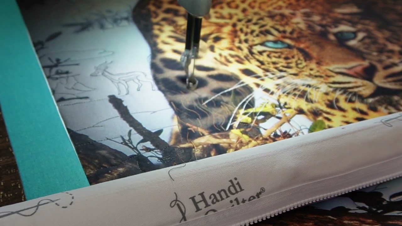 Safari Quilt Free Motion Detail - YouTube