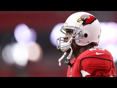 Adrian Peterson 2017 Highlights || HD