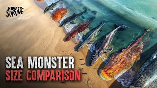 The True Scale of Sea Monsters