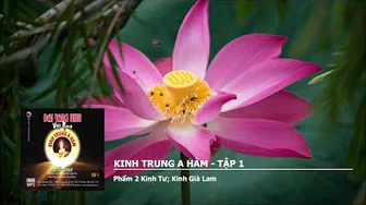 Tập 1 – Phẩm 2 K.Tư – K.Già Lam 