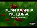 НОВИЙ ЗВУК Коли Калина не Цвіла
