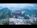 ICE  /  C&#39;est La Vie     奈良県 世界遺産 金峯山寺 蔵王堂 桜