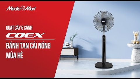 Quạt cây 5 cánh Coex: Công suất mạnh mẽ, đánh tan cái nóng mùa hè (CF-7122A) - Điện máy MediaMart