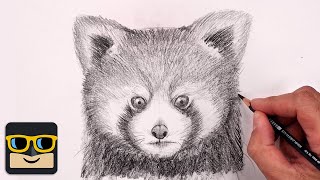 How To Draw Red Panda | Sketch Tutorial