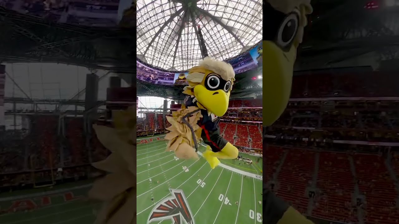 Yo Freddie Falcon Is Wild Atlanta Falcons Shorts