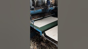 Machine Crushes Huge Logs in Seconds – Unreal Wood Cutting Power!