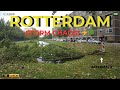 After the Storm: Peaceful Rotterdam Walk Through Fallen Trees & Kralingse Bos ASMR