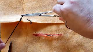 Suture Pattern:  Simple Continuous