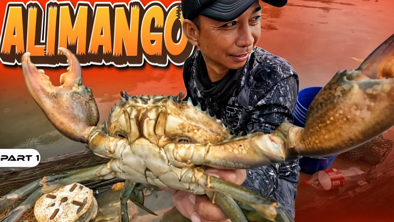 P1 - Nanghuli ng Alimango gamit ang Palapad - EP1981