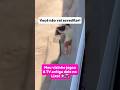 Olha só o que meu vizinho fez! #smartphone #viral #dicas #android #smart