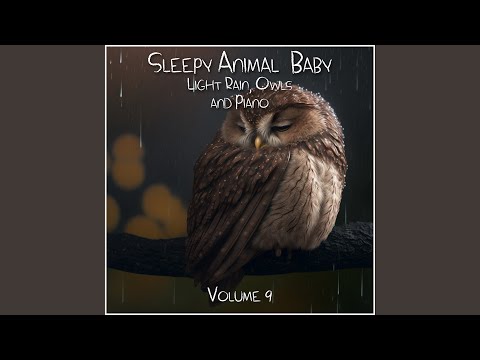 Wooting Owls and Soothing Piano Pt 1