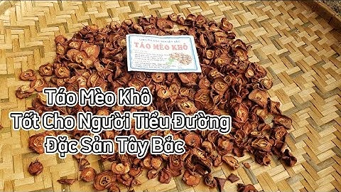 Táo Mèo Khô- Tốt cho người tiểu đường và cải thiện hệ tiêu hóa - Mỉ Ngân Food