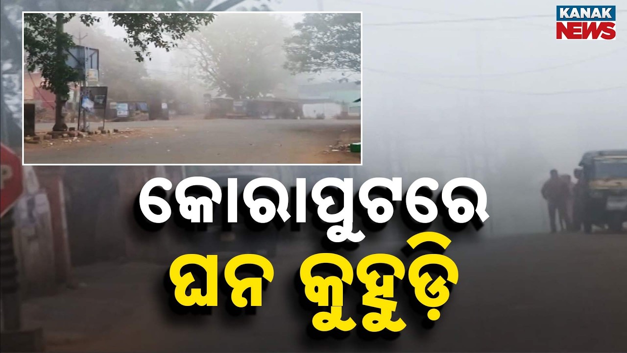 Thick Morning Fog Paralyzes Koraput, Roads Barely Visible