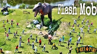 FLASH MOB la T-Rex Parc pe piesa REXY