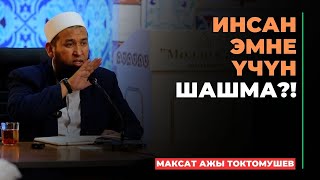 Максат ажы Токтомушев: Инсан эмне үчүн шашма?! | МОЛДО САИД мечити
