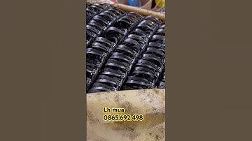 Cạm 9 đánh chuột đồng chuột thịt siêu hiệu quả