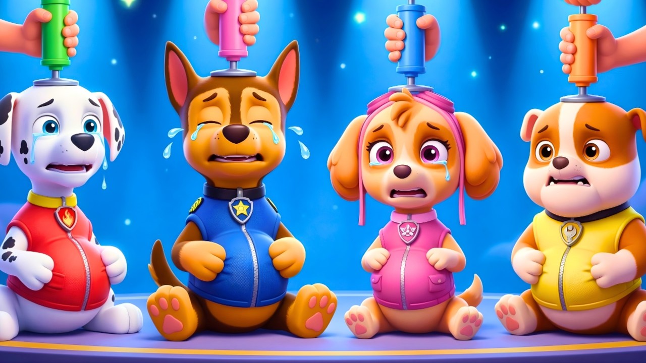 ¡El experimento del vientre gigante?! ¿Dónde está RYDER? | PAw PatRol en Español | Rainbow 3