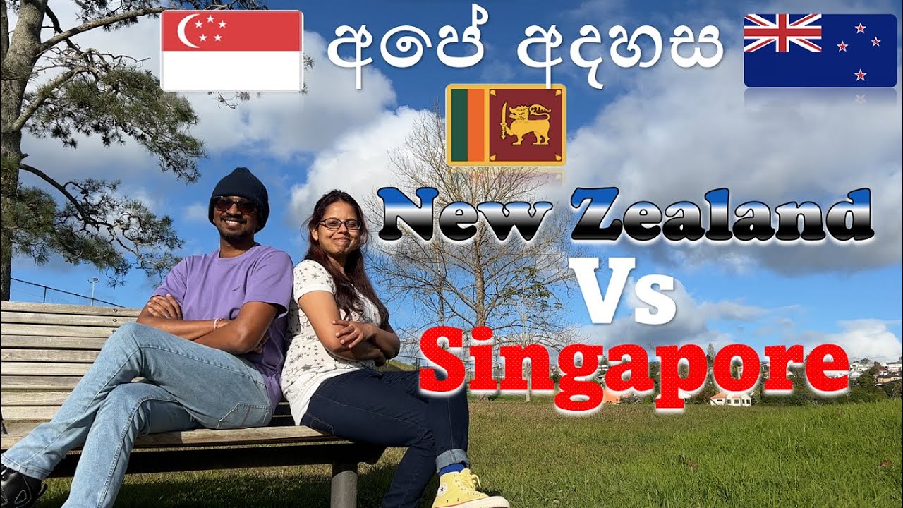 ආපු ගමන් අපි දැක්ක වෙනස්කම් | New Zealand Vs Singapore |