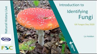 Introduction to Identifying Fungi