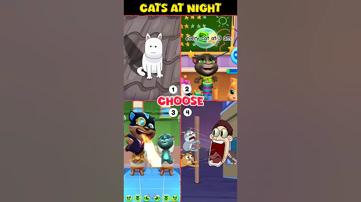 Video 10019941: cats collection funny, collect best cat, collective animals funny, compilation