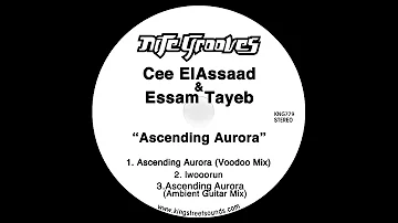 Cee ElAssaad & Essam Tayeb - Ascending Aurora (Voodoo Mix)