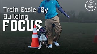 How To Train A Dog To Pay Attention | Using Cones To Build Focus | Obedience Training