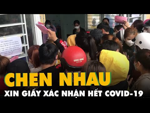 Video Rất đông người dân Đà Nẵng chen nhau xin giấy xác nhận... - youtube